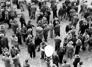 会話する男たちのグループ、イタリア、1960年頃（ゼラチンシルバープリント）