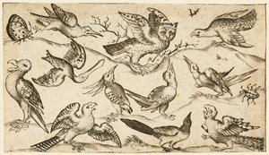 最小限の地面に 11 羽の鳥と 2 羽の昆虫と翼を広げたフクロウ..., 1572. 作： Virgil Solis