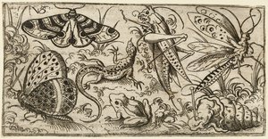 草の生えた平地にいる昆虫と動物の群れ..., 1530 - 1562. 作： Virgil Solis