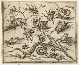 イグアナ、トカゲを含む、岩のある平地の昆虫と爬虫類のグループ., 1557. 作： Virgil Solis