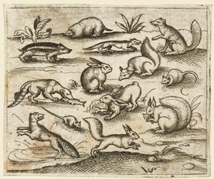 ネズミを含む、池の周りを食べたり走ったりする小さな森の生き物のグループ., 1557. 作： Virgil Solis