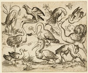 左側にダチョウがいて、鷺やペリカンなど9羽の鳥がいる...1557年以降。   作： Virgil Solis