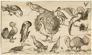 中央のクジャクは、七面鳥と蝶を含む 9 羽の鳥に囲まれています..., 1572. 作： Virgil Solis