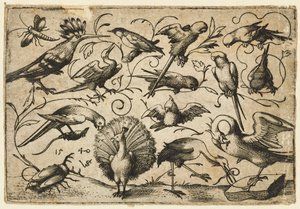 小さな葉の巻きひげに乗った 10 羽の鳥と、コウノトリがペリカンの脚の周りに巻きひげを結び付けています..., 1540. 作： Virgil Solis