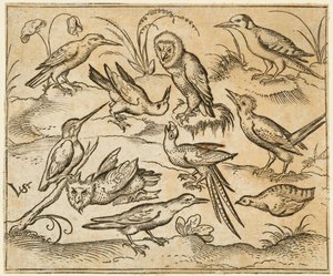 2 羽のフクロウと 1 羽の鳥を含む、10 羽の鳥が枝や草むらにとまっています..., 1557.