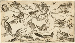 最小限の地面に 11 羽の鳥と 2 羽の昆虫と翼を広げたフクロウが中央の枝に座っており、他の鳥がフクロウを囲み、からかっています。1572 年以降、Douce オーナメント プリント アルバム I より (レイド ペーパーに彫刻)