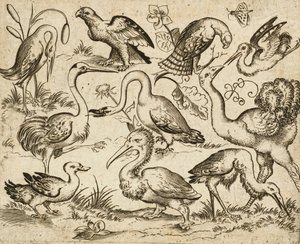 1557年以降のドゥースオーナメントプリントアルバムIから、いくつかの鳥の周りに葉の斑点がある最小限の地面に描かれた、サギとペリカンを含む他の9羽の鳥と一緒に描かれた左側のダチョウ（彫刻とエッチング） 作： Virgilius the elder (after) Solis