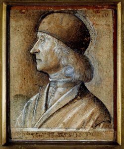 ルネッサンス期のヴェネツィアの画家、ジョヴァンニ・ベリーニ（ジャンベッリーノ）（1430-1516）の肖像。ヴィットーレ・ディ・マッテオ・ベッリニアーノ（v.1485-1529）のドローイング 作： Vittore Belliniano