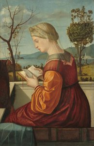 聖母読書、c。 1505年。 作： Vittore Carpaccio