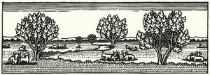 トーマス・ハーディの「Tess Of The DUrbervilles」のイラスト（彫刻）。