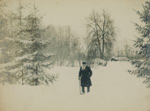 Lev Nikolayevich Tolstoyウォーキングを数えます。