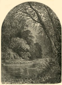 「ジュニアータのモス諸島」、1874年。 作： W.H. Morse