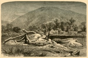 マウント・チェスターフィールド」、1874年。  