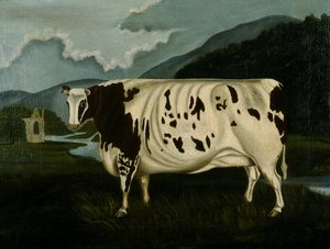 The Famous Craven Heifer（油彩・キャンバス