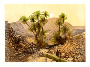シナイの砂漠、エジプト、c1870。