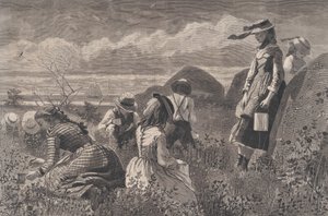 ベリーを集める ハーパーズ ウィークリー Vol. XVIII、1874 年 7 月 11 日。 作： W. H. Lagarde