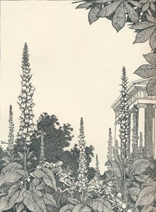 真夏の夜の夢のイラスト、1914年、1925年。 作： William Heath Robinson