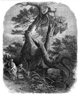 木版画の標本、ニオベの子供たちの死、...1844年。 作： W. J. Linton