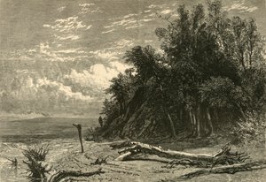 The Shore at Lake Forest」1874年。   作： W. J. Linton