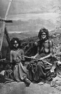 オーストラリアの女性とその子供たち、1902年 作： W. Lindt