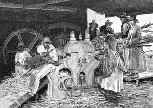 杖をつぶす、1886年。 作： W. Mollier