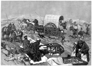 女性の総集編、カシガル、中央アジア、1875年。 作： W. Palmer