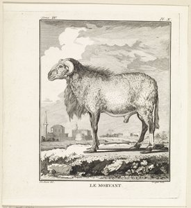 Ram Le Morvant (title on object)   1377588   ja       japanese Successfully Translated  Original: The Triumph of Death, plate five from The Triumphs of Petrarch Translat: The Triumph of Death, plate five from The Triumphs of Petrarch 1281737 ja japanese Su