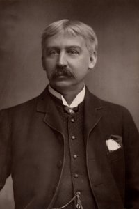 "（フランシス）ブレット・ハート（1836-1902）アメリカの編集者、物語作家（woodburytype） 作： W. and D. (after) Downey