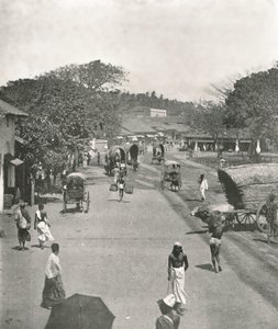 セイロンのコロンボ市庁舎近くのストリートシーン、1895年。 作： W and S Ltd