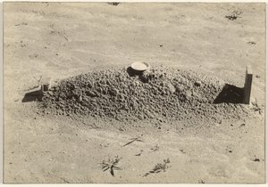 アラバマ州ヘール郡、バプティストの墓 作： Walker Evans