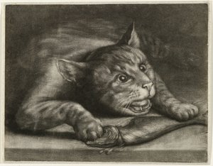 魚と猫 作： Wallerant Vaillant