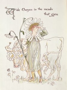 「見つめるミードのワイルドオックスアイ」、「フローラの饗宴、花の仮面」のイラスト 作： Walter Crane