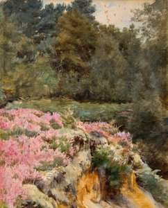 ロイデン、グラベル・ピット・ヘッド（水彩画） 作： Walter Frederick Roofe Tyndale
