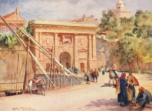 テラフェルマホルダー、ZARA（カラーリトグラフ） 作： Walter Frederick Roofe Tyndale