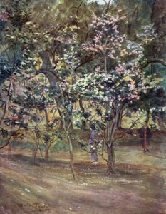 上野公園、東京の単一の椿