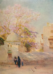 ジャカランダ、c1905、1912 作： Walter Frederick Roofe Tyndale