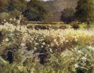ニューフォレスト。ロイデン近郊のメドウ・スウィート（カラーリトグラフ 作： Walter Frederick Roofe Tyndale