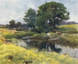 ザ・ニューフォレストリミントン川にて（カラーリトグラフ 作： Walter Frederick Roofe Tyndale