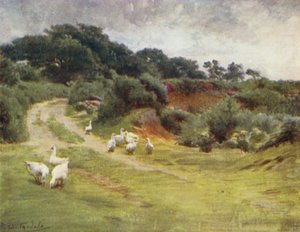 ニューフォレスト。ブロークンハーストの近くにあるロイデンコモン（カラーリトグラフ 作： Walter Frederick Roofe Tyndale