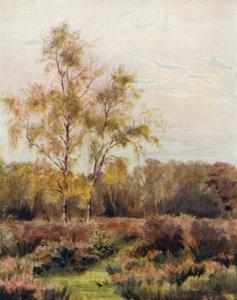 ニューフォレスト：ラッシュポールコモン、リンドハーストレースコースの近く 作： Walter Frederick Roofe Tyndale