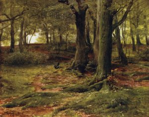 ザ・ニュー・フォレストThe Hill Woods, Lyndhurst (カラーリトグラフ) 作： Walter Frederick Roofe Tyndale