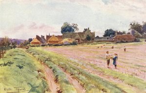 ウェセックスウェセックスの家屋（カラーリトグラフ） 作： Walter Frederick Roofe Tyndale