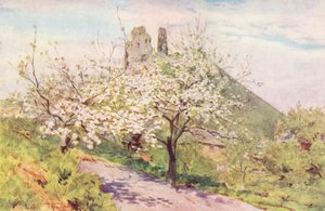 ウェセックスウェセックスの春（カラーリトグラフ） 作： Walter Frederick Roofe Tyndale