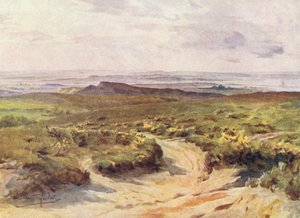ウェセックススタッドランド・ヒース、遠くにプール港（カラーリトグラフ） 作： Walter Frederick Roofe Tyndale