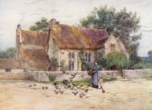 ウェセックスウィルト州メア近郊の森林地帯（カラーリトグラフ） 作： Walter Frederick Roofe Tyndale