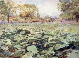 白蓮城堀甲府 作： Walter Frederick Roofe Tyndale