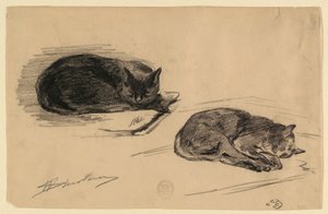 猫の研究 作： Walter Shirlaw