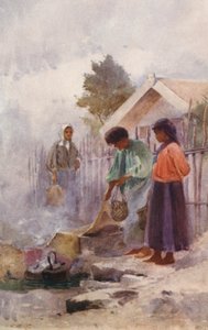 ニュージーランド温泉での料理（カラーリトグラフ） 作： Walter Wright
