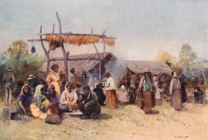 ニュージーランドネイティブ・ギャザリング（カラーリトグラフ） 作： Walter Wright