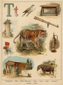 Letter T (chromolitho) 作： Walter Zweigle